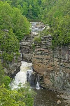 Dramatic Falls in a Green Forest Stockfoto's