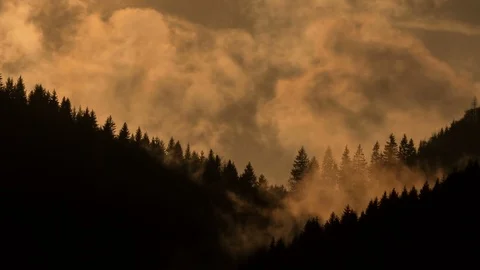Dramatic fast clouds over forest silhouette Time lapse Stock Footage 103212443