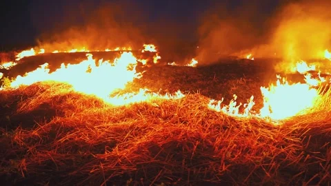 Dramatic Field Blaze Under Black Smoke Stockbeeldmateriaal 331825904