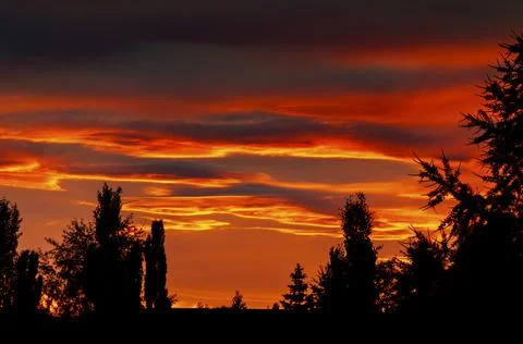 Dramatic fiery colourful glowing clouds at sunset with silhouetted trees in the Foto stock