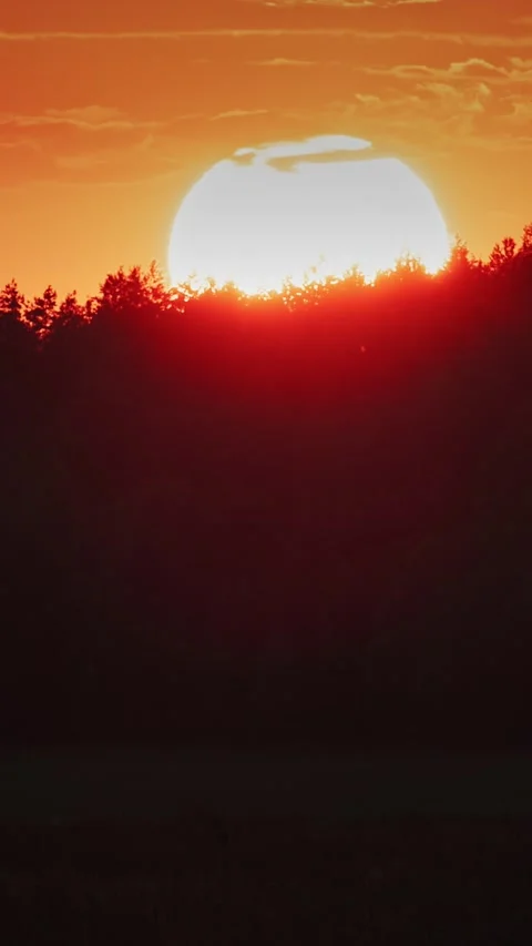 Dramatic fiery red sunset over dark pine forest silhouette, vivid orange sky Stock Footage 341344069