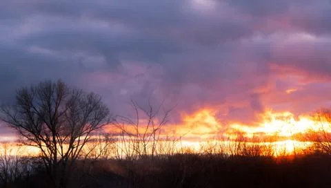 Dramatic fiery sunset sky with dark clouds and bare tree silhouettes Stock Photos