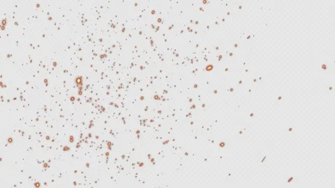 Dramatic Fire Particles Animation with Alpha Background and Seamless Loop Vidéo 276324375