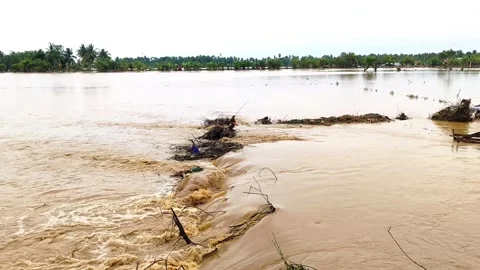 Dramatic! Flash Floods Hit Rice Fields and Damage Embankments and Roads, video Stock Footage 322224027