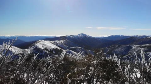 Dramatic Flight Low Over Icy Trees to Sunny Snow Covered Mountains Video stock 136813011