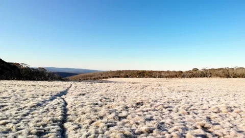 Dramatic Flight over Alpine Grass Plain and Frosted Grass at Sunrise Stock Footage 136664534