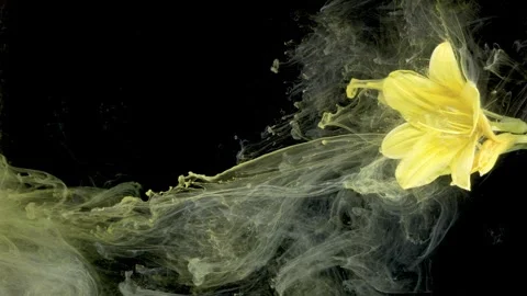 Dramatic flowing patterns against dark background Stock Footage 332807474