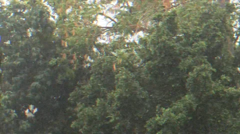 Dramatic Footage Of Storm Stock Footage 33935647