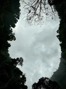 Dramatic Forest Canopy with Cloudy Sky. Madakaripura Waterfall Probolinggo Photos