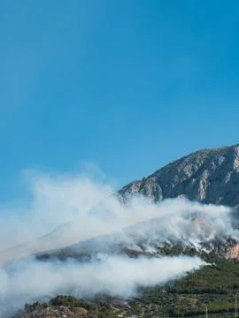 Dramatic forest fire scene in Croatia Stock Photos