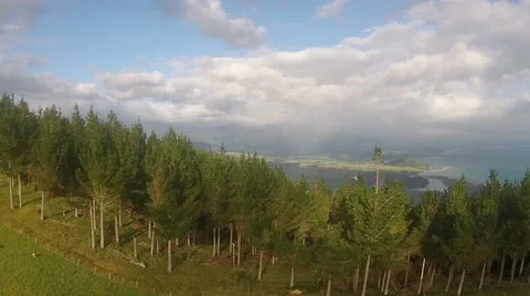 Dramatic Forest Hill Fly By Vídeos de archivo 49359921