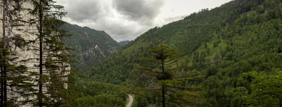 Dramatic Forested Mountain Valley Landscape Rax Alps Featuring Limestone Cl.. Stock-Fotos
