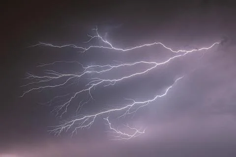 Dramatic forked lightning bolts, anvil crawlers, across purple storm clouds 스톡 사진