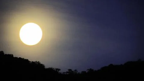 Dramatic full moon illuminating the deep twilight sky above a dark silhouet.. Stock Photos