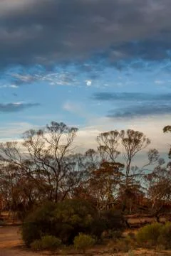 Dramatic Full Moon Stock Photos