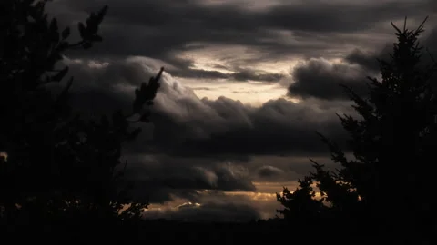 Dramatic golden sunrise clouds over a dark forest silhouette Stock Footage 337676524