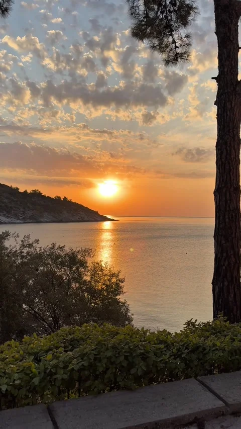 Dramatic golden sunrise over Aegean sea with pine tree framing in Greece Stock Footage 341485012