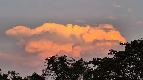 Dramatic Golden Sunset Clouds Above Silhouetted Trees Creating Scenic Eveni.. Stock Photos