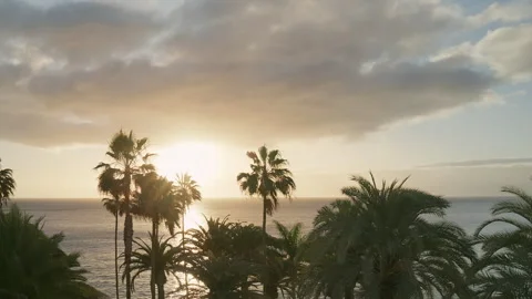 Dramatic golden sunset over a calm ocean with sunbeams and storm clouds. Stock Footage 327390899