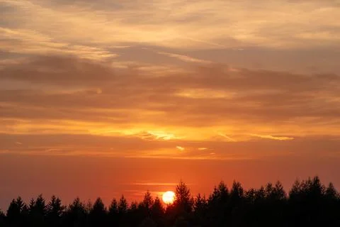 Dramatic Golden Sunset Over Conifer Forest Silhouette with Vivid Orange Sky Stock-Fotos