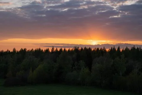 Dramatic Golden Sunset Over Dense Boreal Forest with Glowing Orange Sky and.. Stock-Fotos