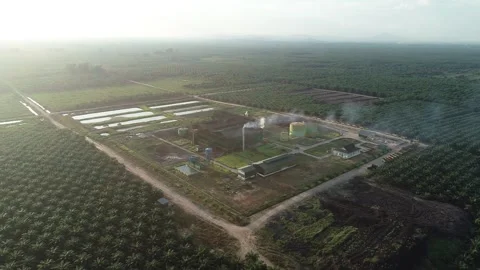 Dramatic Golden Sunset Over Palm Oil Plantation and Factory with Thin Mist Stockbeeldmateriaal 329087213