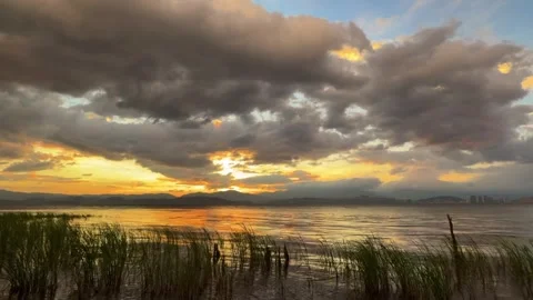 Dramatic Golden Sunset Sky Over Lake and Reeds China Stock Footage 339232887