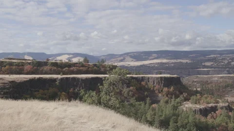 Dramatic Gorge Landscape With Cliffs and Fall Foliage in Oregon 库存影片 333705012