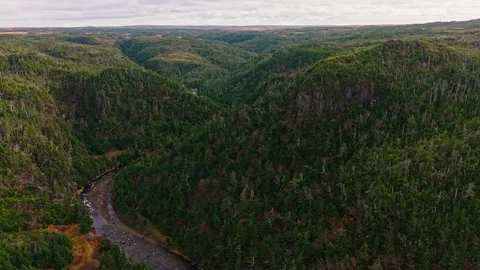 A dramatic gorge with steep forested cliffs and a river cutting through a rocky Stock Footage 321936893
