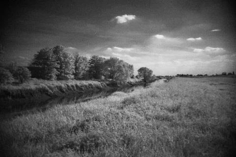Dramatic grainy old style black and white of sky, trees, reeds and river 스톡 사진
