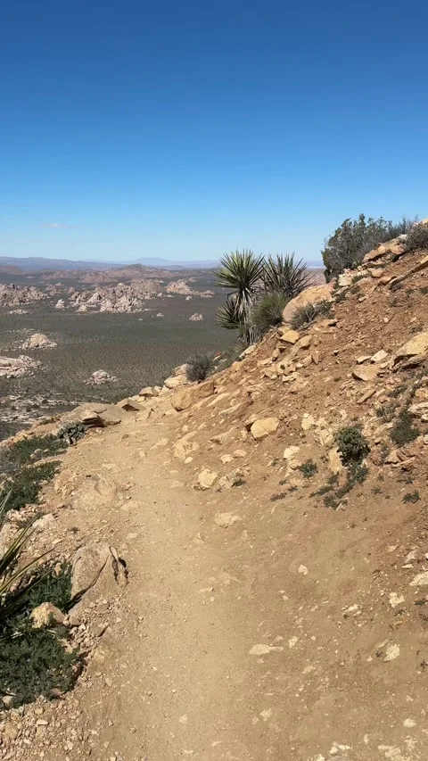 Dramatic Granite Boulder Overlook in Joshua Tree Stock-Footage 331261181