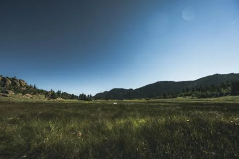 Dramatic grassy meadow in valley under blue skies in summer Stock Photos