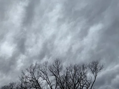 Dramatic Gray Storm Clouds Over Leafless Trees Stock Photos