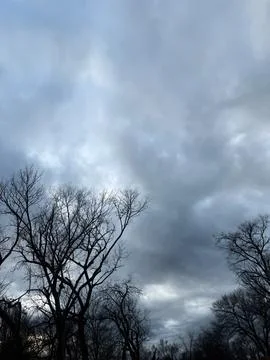 Dramatic Gray Storm Clouds Over Leafless Trees Stock-Fotos