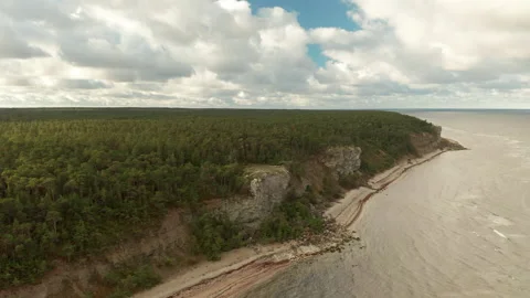 Dramatic green coastline in the Baltic Sea, aerial drone footage Stock Footage 149150767