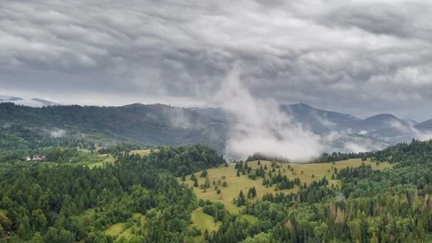 Dramatic grey clouds over green forest landscape Stock-Footage 102263435
