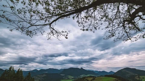 Dramatic grey clouds sky moving above green countryside nature, View under tree Stock Footage 278722496