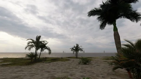 Dramatic grey storm clouds sunset dusk palm beach waves paradise vacation scene Видео 181449472
