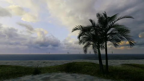 Dramatic grey storm clouds sunset dusk palm beach waves paradise vacation scene Vidéo 181450540