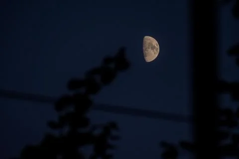 A dramatic half moon with visible craters emerges from the deep darkness Stock Photos