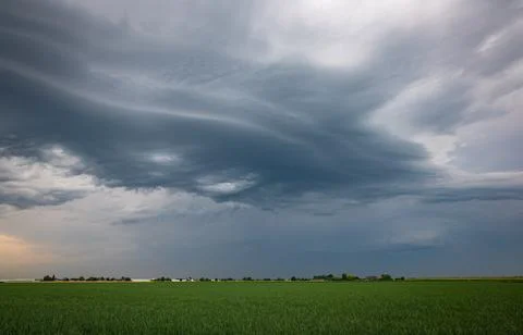 Dramatic high based shelf cloud of an approaching thunderstorm over green fields Foto stock