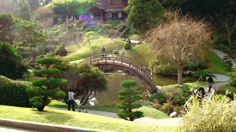 Dramatic Japanese Gardens Video stock 623517