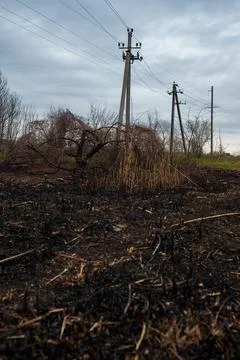 Dramatic landscape with burnt grass and reeds after natural fire, ecology Stock Photos