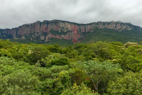 Dramatic landscape of dense forest and red rock in the middle of the jungle in Stock Photos