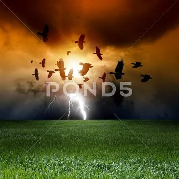 Dramatic landscape Stock Illustration