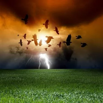 Dramatic landscape Stock Illustration