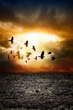 Dramatic landscape Stock Illustration