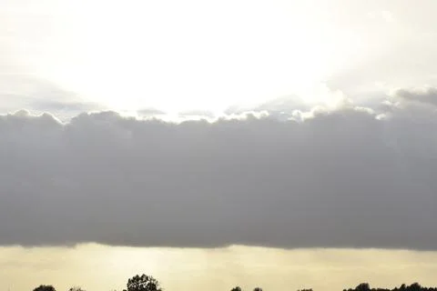 Dramatic landscape with large dark cloud and tree silhouettes on the horizon 写真素材