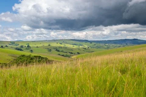 Dramatic landscape, rolling hills under thunderstorm clouds in Nyika National Stock Photos