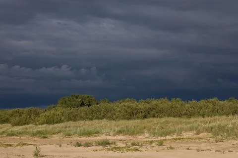 Dramatic landscape with a sandy foreground and a line of trees against a stor Stock Photos